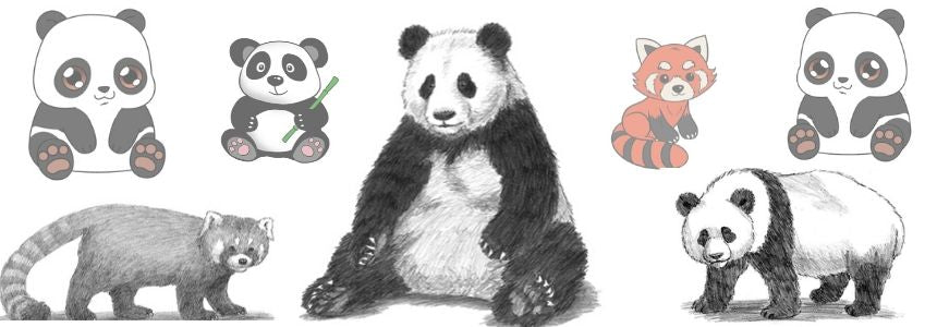 Dessin Panda Petit Panda