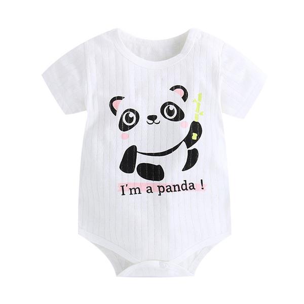 Body Panda <br> I'm a Panda