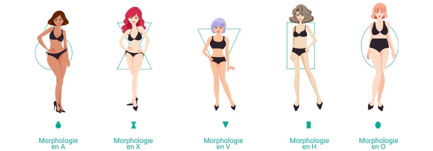 5 différentes morphologies