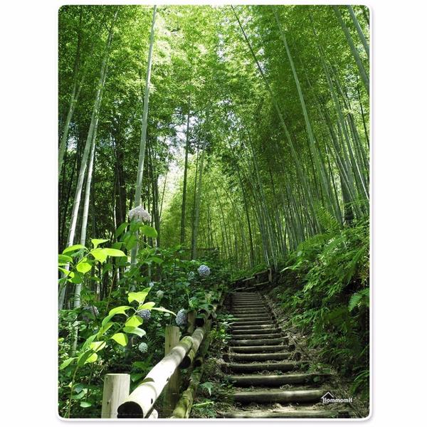 Plaid Bambou